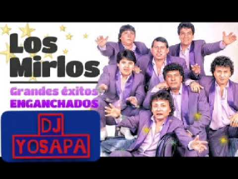 LOS MiRLOS Enganchados -DJ YOSAPA -