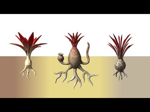 Alien Biospheres: Part 8 - Adaptations to Climate