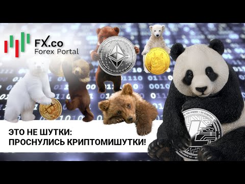 Опасно было шутить над криптомедведями! Обзор постов форума Форекс.Деньги: 21.03.2022