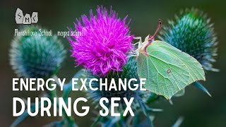 What Type Of Energy Exchange Happens During Sex? | #occult #magic
