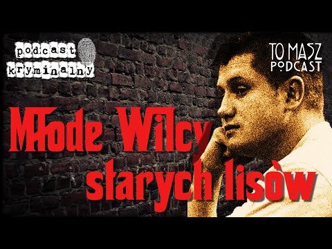 Paweł vel Mrówa, czyli młody Dziad, Czarek Dreszcz syn Jacka i młody Ceber || Podcast Kryminalny