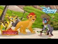 De Leeuwenwacht | Draken Eiland ?| Disney Channel NL