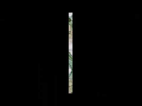 flower inspired Designs by Hadiqa Riaz .BTD thesis 2022.