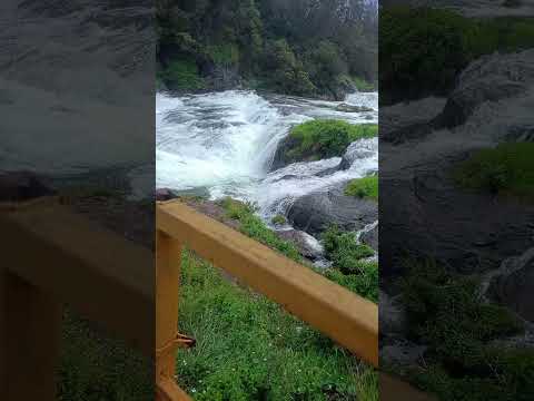 combatur tamunar Ooty Orai #love #15august