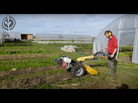 Die Zukunftsbauern - Market Garden Rundgang Oktober