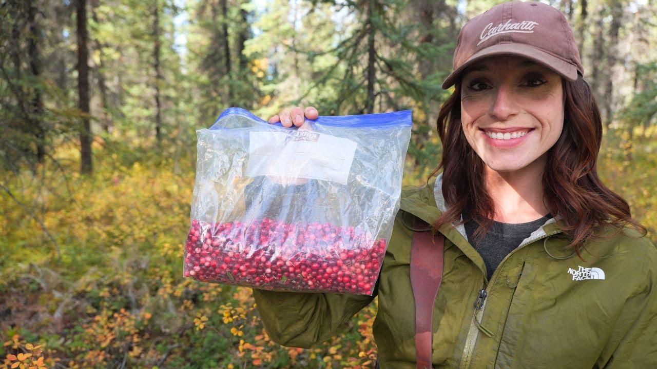 Our Favorite Jam for Small Game | Wild Cranberry Foraging & Jam Making in Alaska - YouTube video featuring the word just a little