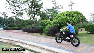 USA STOCK Citycoco Motorcycle 1500W 52V 27AH Battery 2 Wheel FT02 Electric Bicycle Bike