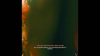 Download lagu Story WA keren di kebun karet😂 mp3