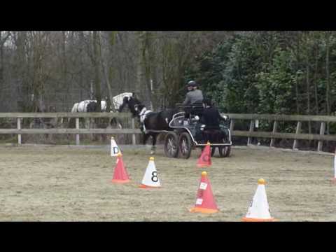 Marianne Wolters WC Dubbeldam 21-2-2010