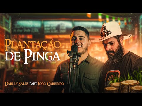 Darlly Sales Part. João Carreiro - Plantação de Pinga