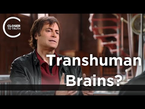 Max Tegmark – Transhuman Brains?