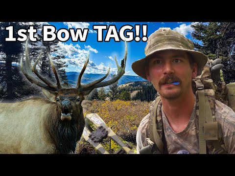 Tndeer Forums