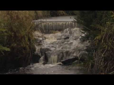 Laphroaig Distillery Tour - Kilbride Stream