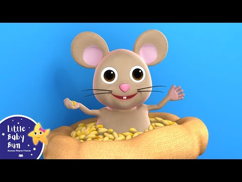 The House That Jack Built | Little Baby Bum | Animals for Kids | Fun Songs and Nursery Rhymes