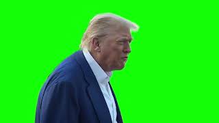 Donald Trump "they don't know what the fuck they're doing" green screen