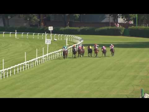 BA 24.06.2017 - Dostihy 6 - Memoriál MVDr. Tibora Staňa