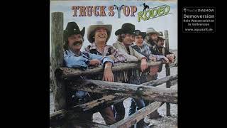 Truck Stop - Als Geiger in der County Band