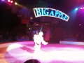 Breanna At The Big Apple Circus