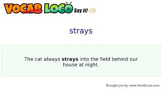 Video thumbnail for strays