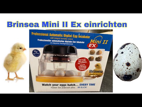 Brinsea Mini II Ex einrichten