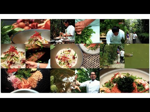 Jardim de especiarias tropicais de Penang | PARTE 1 | Cozinhando com o chef Nuril Karim | Jawi House Cafe Gallery