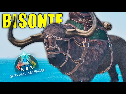 HOW TO TAME BISON AND ALL THEIR ABILITIES (PC, PS, AND XBOX) - ARK Survival Ascended