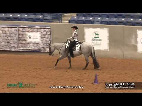 A Judge's Perspective: 2017 AQHA Select Western Riding World Champion