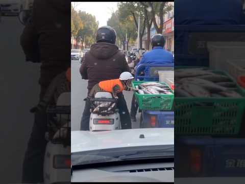 Halla halla #abişailesi