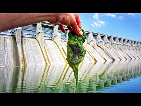 FOOD CHAIN Fishing Challenge At MASSIVE SPILLWAY!!! (Starting With Moss)