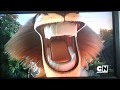Mort Is Crying Screaming And Scared Alex The Lion