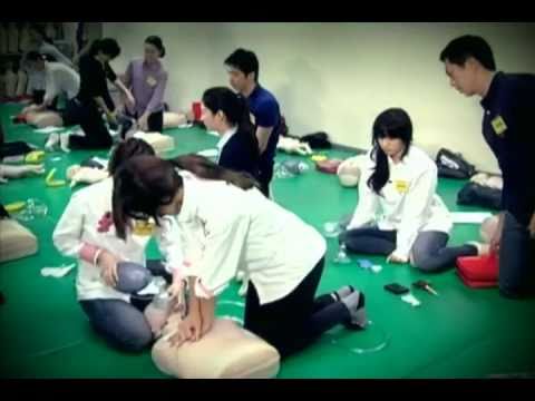 T-ara - New Reality show