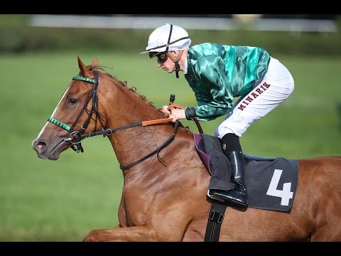 Köln: Red Mills-Cup - Versuchsrennen der Zweijährigen (D) - Siegerin: Laleh