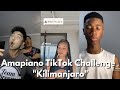 Amapiano TikTok Dance Challenge Compilation 