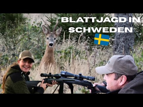 Ein Ruf, zwei Böcke! I Blattjagd in Schweden