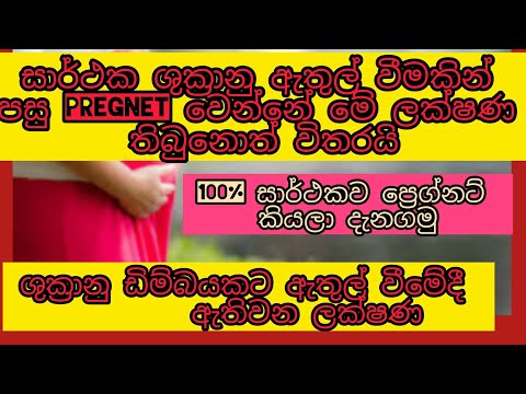 සාර්ථකව ශුක්‍රාණු ඩිම්බයකට ඇතුල්වීමේ දී ඔබට ඇතිවන ලක්ෂණ❤️🫄|100% සාර්ථකව ප්‍රෙග්නට් කියලා දැන ගමු💯💓
