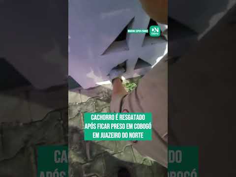 confira