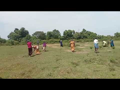 Preparations begin in Mannar for Maaveerar Naal 2025