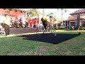 Genjring Akrobat Indramayu Napak Jagat Dermayon 2017