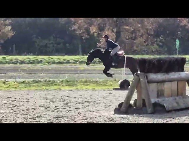 Lancelot de la petite Charbonni&egrave;re 