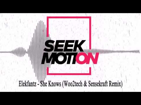 Elekfantz - She Knows (Woo2tech & Sensekraft Remix)
