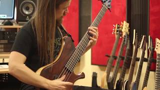 Alex Weber - Defeated Sanity - Drifting Further