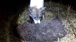 Охотничье рыболовный клуб удача краснодарский край