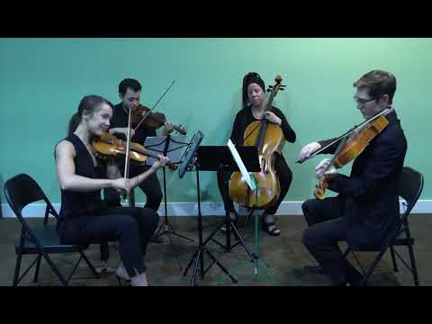 Promotional video thumbnail 4 for Classic-Jazz Cellist