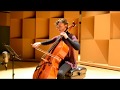 Philip Glass - The Paris Sky (Book of Longing) | India Gailey, cello