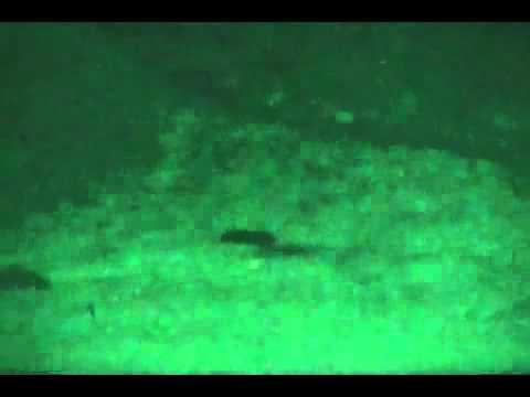 Great Marksmanship German Soldier G36 700m 765yards from the hip at night in Afghanistan‏