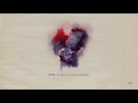 The Memoir - Page 175: Purl