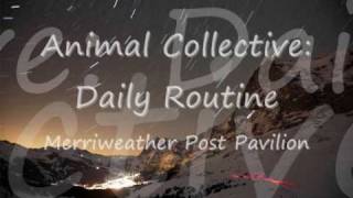Animal Collective - Daily routine