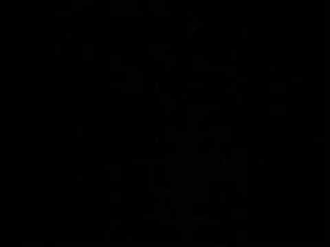 Ladose - Den peistika(Lyrics)