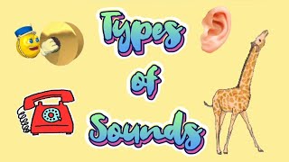 TYPES OF SOUNDS | SOUNDS | 1ST GRADE | ONLINE CLASS | SCIENCE