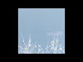 The Shins - Pressed In A Book